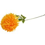 CHRYZANTEMA POJEDYKA ŻÓŁTA FI 22CM - obrazek 3