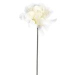 Chryzantema Sztuczna Pojedyncza Biała 35 cm do Dekoracji Miejsca Pamięci