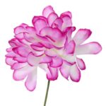 Chryzantema Sztuczna Pojedyncza Biało-Fioletowa 35 cm do Dekoracji na Wszystkich Świętych - obrazek 2