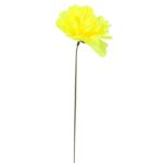 Chryzantema pojedynka bez listka jasno żółta 35 cm