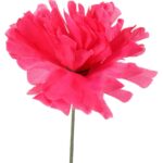 Różowa Sztuczna Chryzantema 35 cm Bez Listka do Dekoracji Kompozycji Pamięciowych - obrazek 2