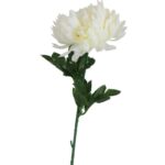 Chryzantema pojedynczy kwiat w kolorze białym 70 cm fi 12 cm