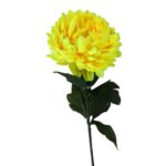 Chryzantema Żółta Pojedynczy Kwiat 70cm - obrazek 2