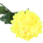Chryzantema Żółta Pojedynczy Kwiat 70cm - obrazek 3
