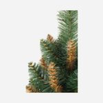 Choinka Sztuczna Polskiego Producenta GOLIAT Model DORIS, Wysokość 180 cm, Kolor Zielony, Sosna z Brązowym Wplotem - obrazek 2