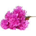 Bukiet 9 chryzantem z liśćmi kolor fioletowy - obrazek 2