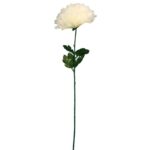 CHRYZANTEMA POJEDYNCZY KWIAT FI 20 CM BIAŁY - obrazek 2