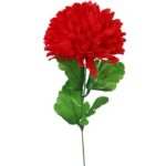 CHRYZANTEMA POJEDYNCZY KWIAT FI 20 CM CZERWONY