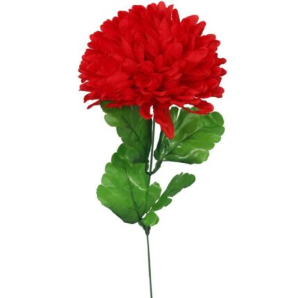 CHRYZANTEMA POJEDYNCZY KWIAT FI 20 CM CZERWONY