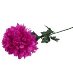 CHRYZANTEMA POJEDYNCZY KWIAT FI 20 CM RÓŻOWY - obrazek 2
