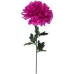 CHRYZANTEMA POJEDYNCZY KWIAT FI 20 CM RÓŻOWY