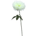 Chryzantema pojedynczy kwiat w kolorze białym 70 cm - obrazek 2