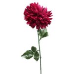 Chryzantema pojedynczy kwiat w kolorze bordowym 70 cm - obrazek 2