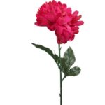 Chryzantema kwiat pojedynczy w kolorze czerwonym 70 cm - obrazek 2