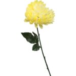 Chryzantema pojedynczy kwiat w kolorze jasnożółtym 78 cm - obrazek 2