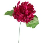 Chryzantema kwiat pojedynczy w kolorze bordowym z trawką - obrazek 2