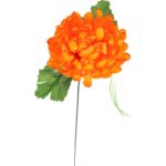 Chryzantema kwiat  pojedynczy w kolorze pomarańczowym z trawką - obrazek 2