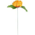 Chryzantema kwiat pojedynczy w kolorze żółtym z trawką