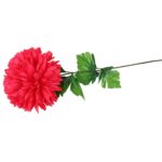 Chryzantema pojedynczy kwiat w kolorze ciemnoróżowym - obrazek 2