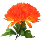 Sztuczna Chryzantema Pojedyncza w Kolorze Pomarańczowym - Dekoracja na Wszystkich Świętych - obrazek 2