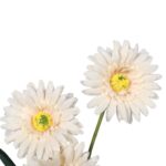 Sztuczna Gałązka Gerber Kremowa - Dekoracja Wysokiej Jakości 55 cm - obrazek 2