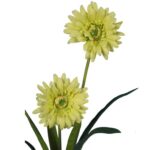Sztuczna Gałązka Gerbery Zielonej o Wysokości 55 cm - Dekoracja Wnętrz - obrazek 2