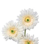 Sztuczna Gałązka Gerber w Kolorze Żółtym - 55 cm - obrazek 2