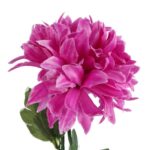 Chryzantema pojedynka w kolorze fioletowym 67 cm - obrazek 2