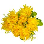 Bukiet 7 chryzantem z dodatkami, 35 cm, żółty - obrazek 3
