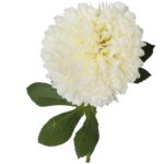 Biały Czosnek Dekoracyjny - Kwiat Pojedynczy, Długość 52 cm - obrazek 2