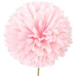 Czosnek pojedynka w kolorze różowym - obrazek 2