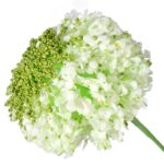 CZOSNEK KWIAT SZTUCZNY KULA BIAŁA - obrazek 3