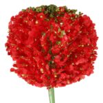 CZOSNEK KWIAT SZTUCZNY KULA CZERWONA - obrazek 2