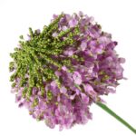 CZOSNEK KWIAT SZTUCZNY KULA WRZOSOWA - obrazek 3