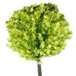 CZOSNEK KWIAT SZTUCZNY KULA ZIELONA - obrazek 2