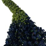 Czosnek kwiat pojedynczy w kolorze niebieskim - obrazek 2