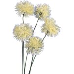 Gałązka dekoracyjna z 5 sztucznymi kwiatami czosnku, biała, 65 cm - obrazek 2