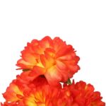 Bukiet 9 chryzantem w kolorze pomarańczowym - obrazek 2