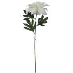 Dalia Sztuczna Biała o Długości 70 cm - obrazek 2