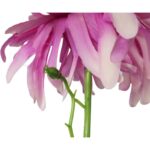 Dalia kwiat sztuczny pojedynka wrzosowa - obrazek 3