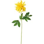 Dalia - Sztuczny Kwiat na Gałązce, Kolor Żółty, Wysokość 70 cm - obrazek 3