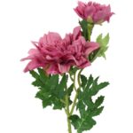 Sztuczne Dalie Bordowe Wysokiej Jakości - Dekoracyjna Gałązka 66 cm - obrazek 2