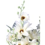 GAŁĄZKA 5 DALII Z WIELOMA PĄKAMI BIAŁA - obrazek 2