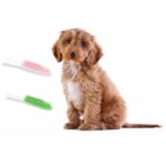 Zielona Szczotka do Czesania i Masażu Zwierząt DC107 o Wysokiej Trwałości - obrazek 3