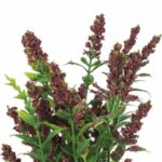 BUKIET 5 GAŁĄZEK TAWUŁKI 28 CM KOLOR BRĄZOWY - obrazek 2