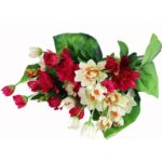 BUKIET 12 DROBNYCH DALII Z DUŻYMI LIŚĆMI 42 CM BORDO - obrazek 3