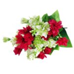 BUKIET 12 DROBNYCH DALII Z DUŻYMI LIŚĆMI 42 CM BORDOWO ZIELONY - obrazek 3