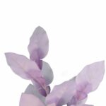 GAŁĄZKA LIŚCI OZDOBNYCH 94 CM KOLOR RÓŻOWY - obrazek 2