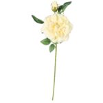 Róża Dekoracyjna Żółta z Młodym Pąkiem DYJM-004 - obrazek 2