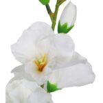 Pięć Białych Gladioli - Bukiet o Wysokości 60 cm - obrazek 2